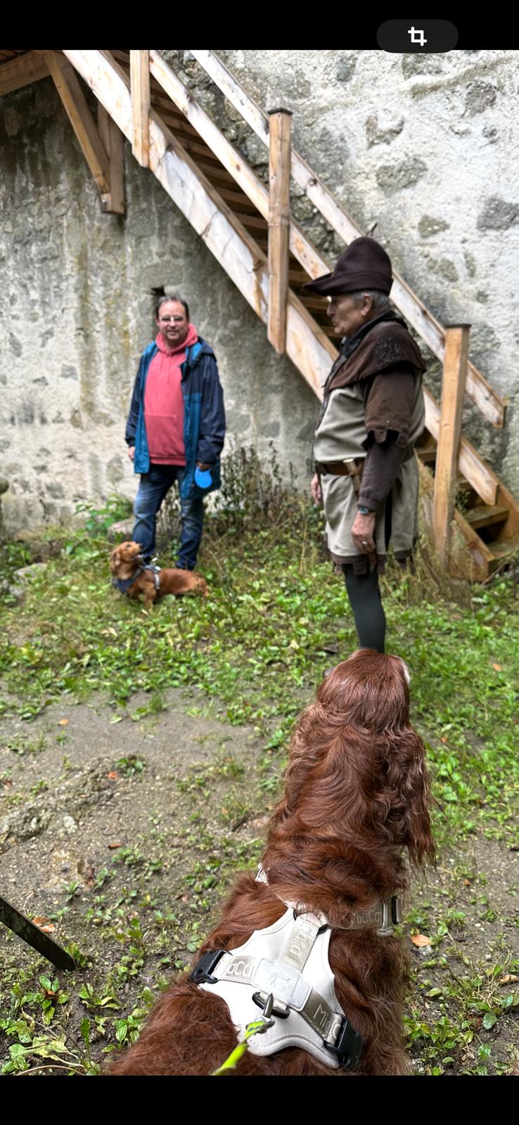 Vergrößerbares Bild